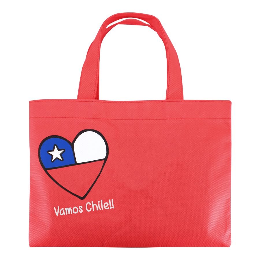 Bolsa TNT Vamos Chile