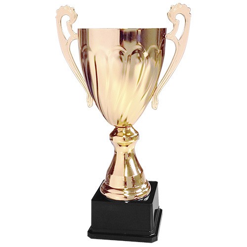 Copa CY 2013